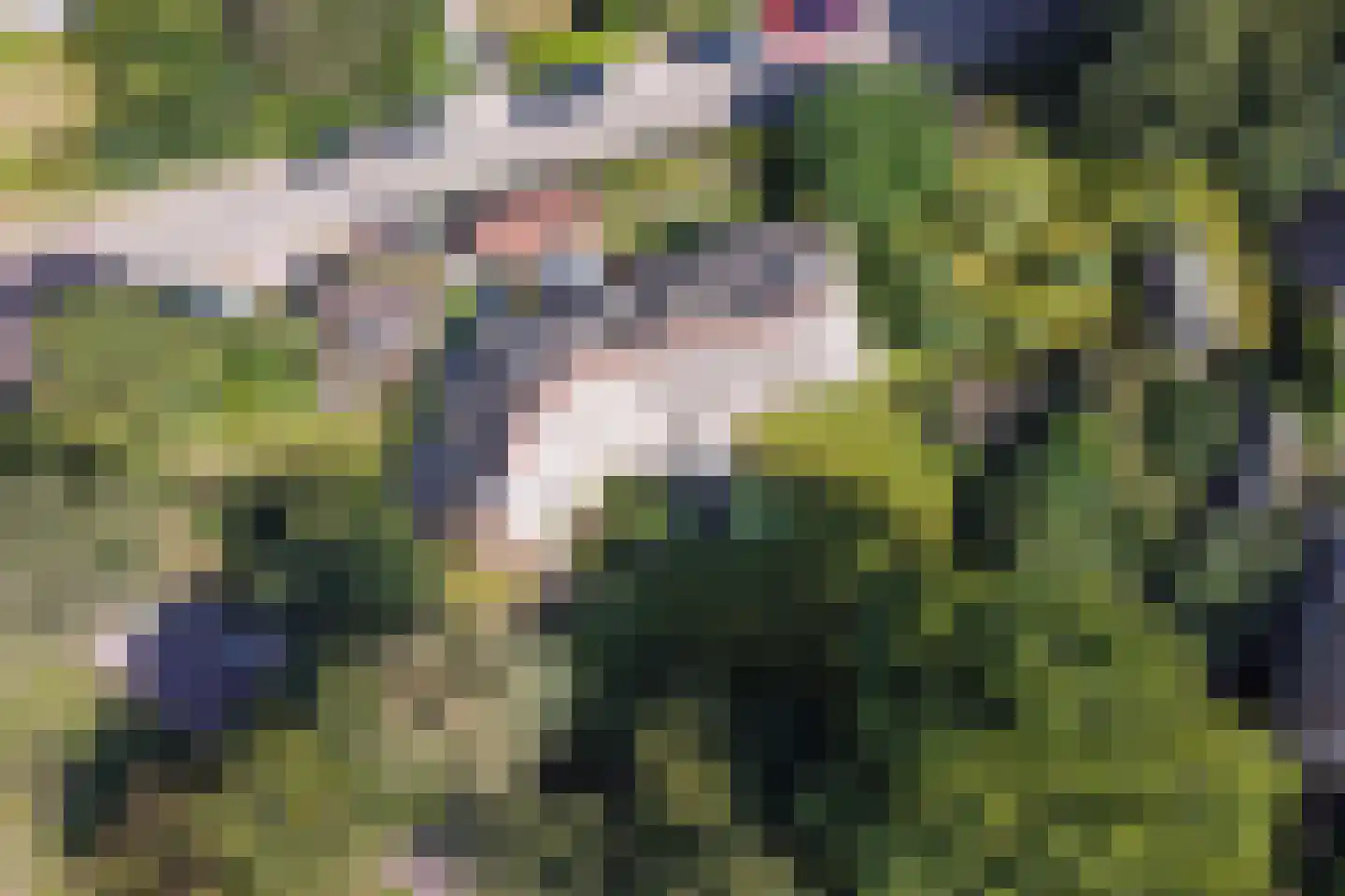 Zevenenderdrift 55 Laren thumbnail 33