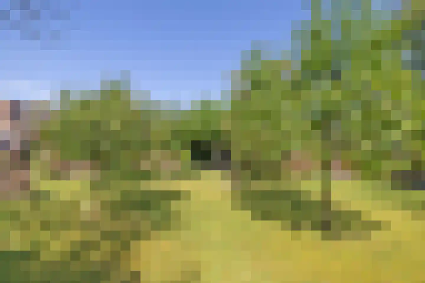 Zevenenderdrift 55 Laren thumbnail 5