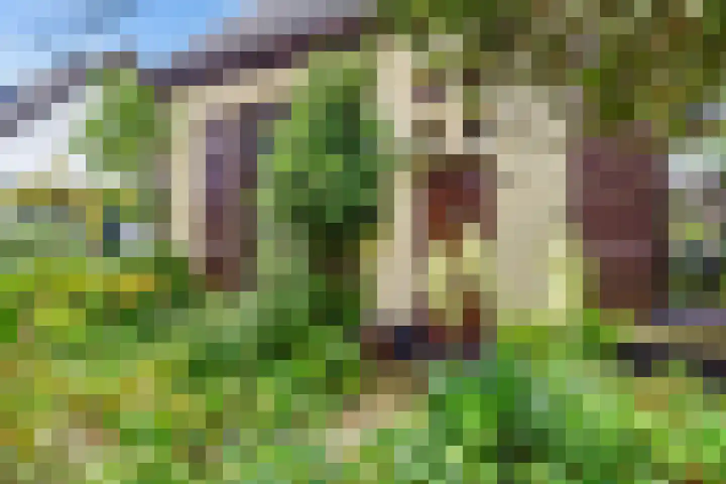 Zevenenderdrift 6 b Laren thumbnail 5