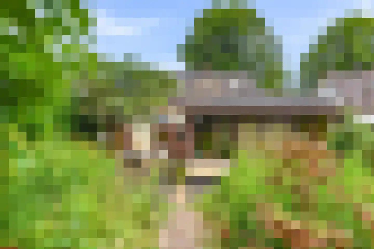 Zevenenderdrift 6 b Laren thumbnail 8