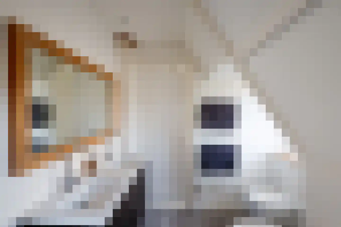 Zevenenderdrift 67 Laren thumbnail 30