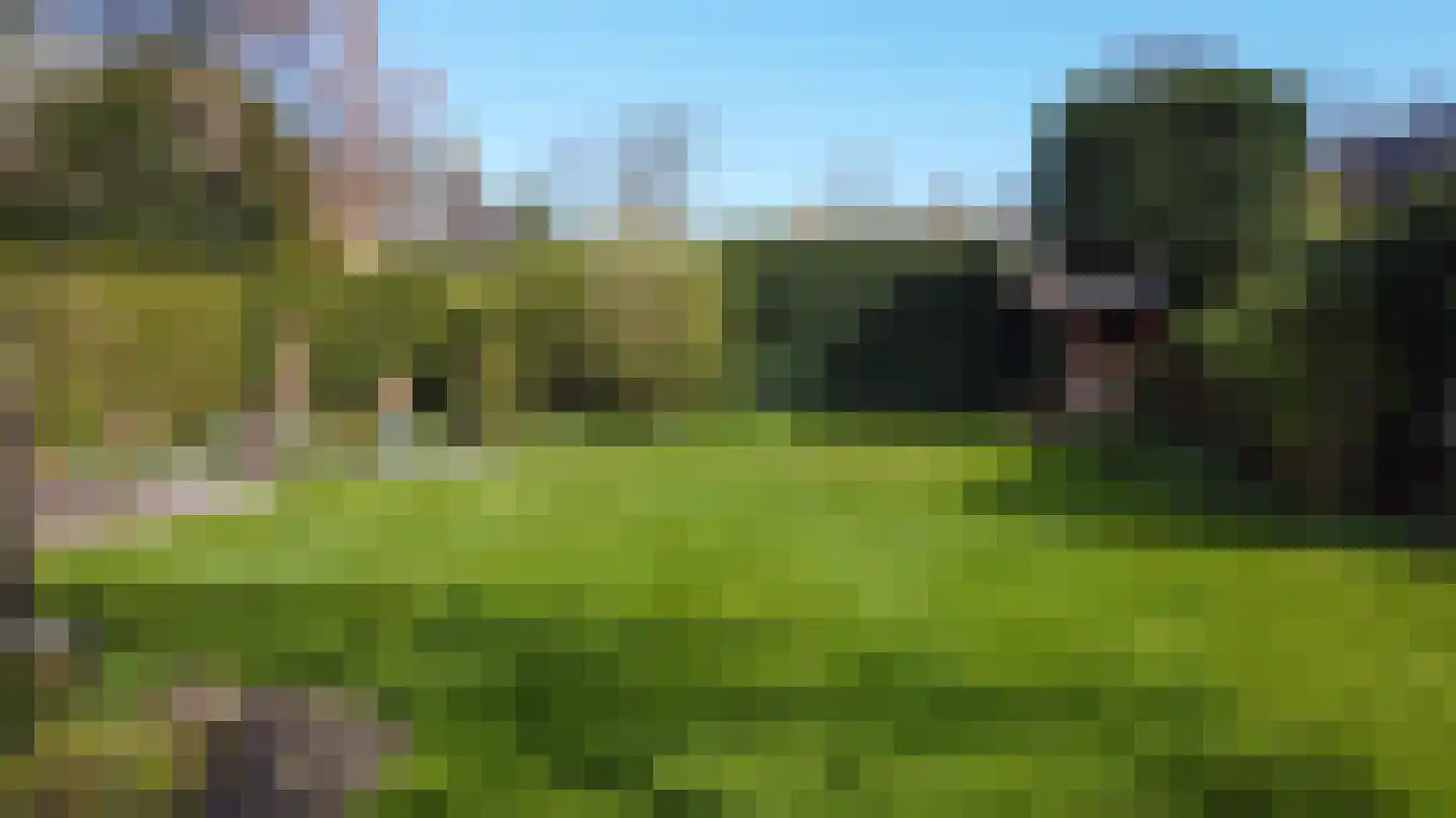 Zevenenderdrift 67 Laren thumbnail 4