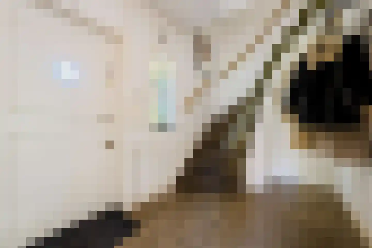 Zevenenderdrift 72 Laren thumbnail 25