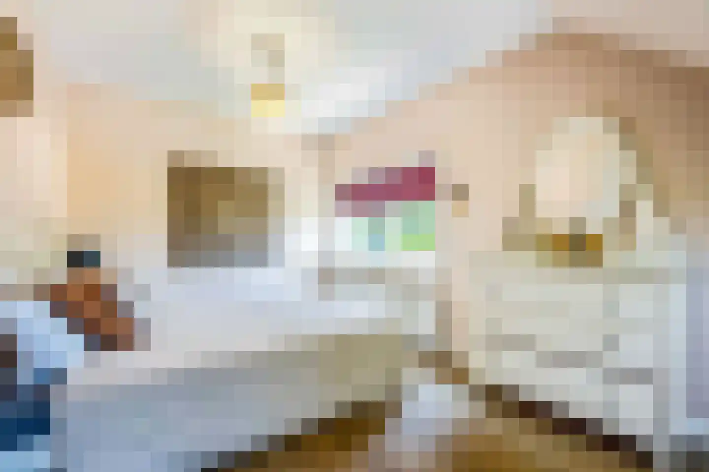 Zevenenderdrift 72 Laren thumbnail 31