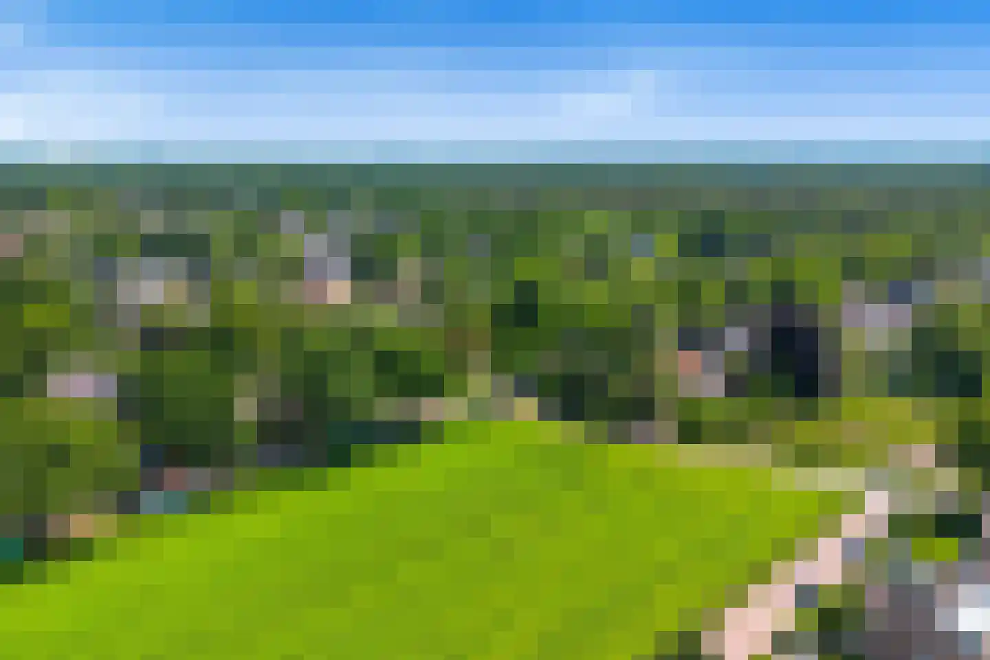 Zevenenderdrift 72 Laren thumbnail 4