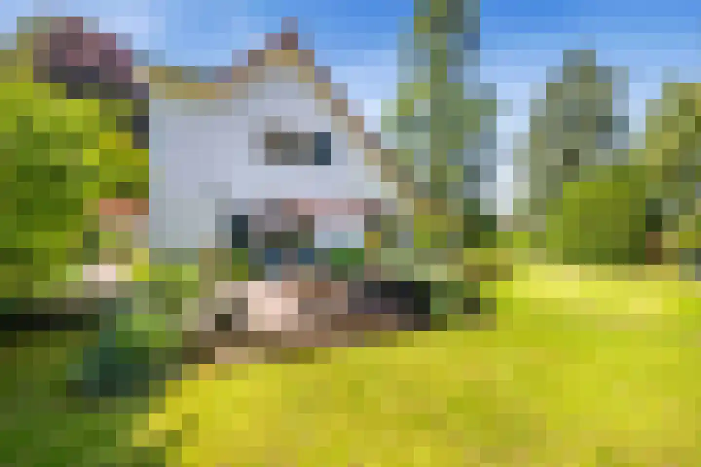 Zevenenderdrift 72 Laren thumbnail 44