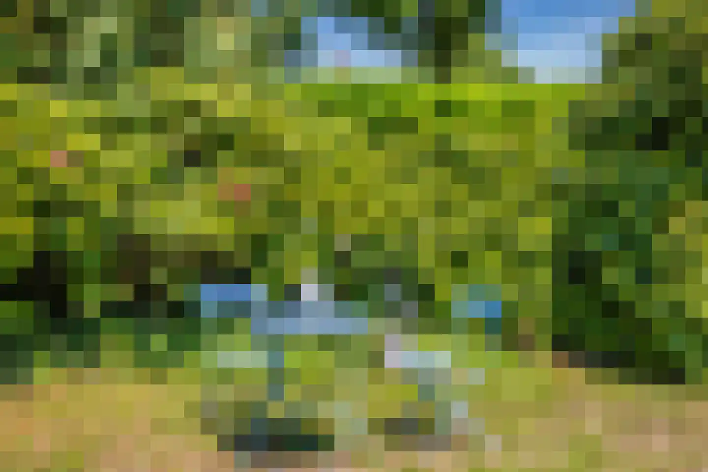 Zevenenderdrift 72 Laren thumbnail 47