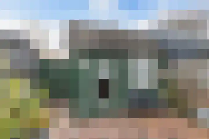 Zevengesternte 30 Lemmer thumbnail 20