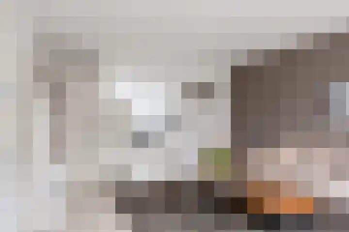 Zevengetijdeklaver 17 Rotterdam thumbnail 10