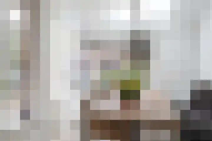 Zevengetijdeklaver 17 Rotterdam thumbnail 12