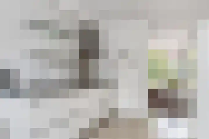 Zevengetijdeklaver 17 Rotterdam thumbnail 13
