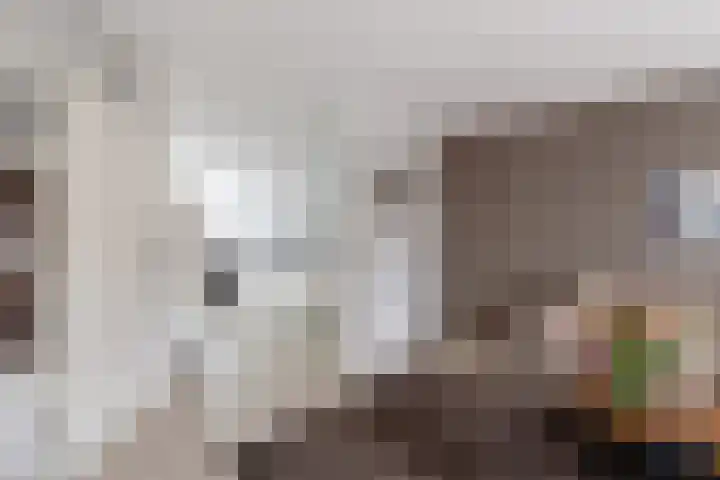 Zevengetijdeklaver 17 Rotterdam thumbnail 15