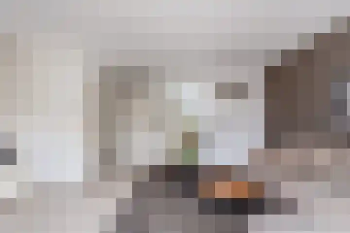 Zevengetijdeklaver 17 Rotterdam thumbnail 16
