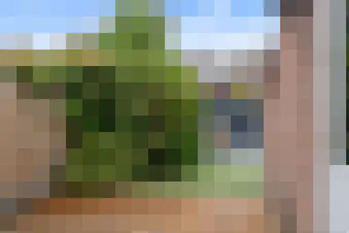 Zevengetijdeklaver 17 Rotterdam thumbnail 17