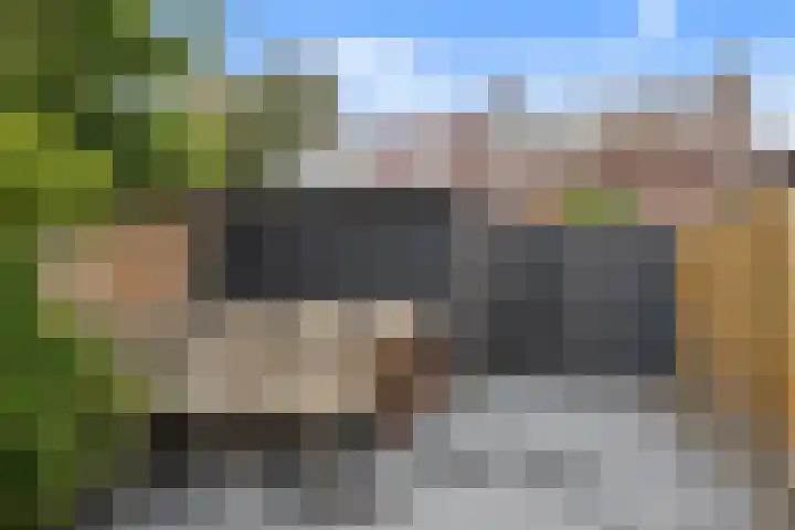 Zevengetijdeklaver 17 Rotterdam thumbnail 18