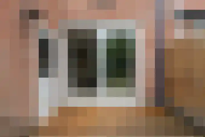 Zevengetijdeklaver 17 Rotterdam thumbnail 19
