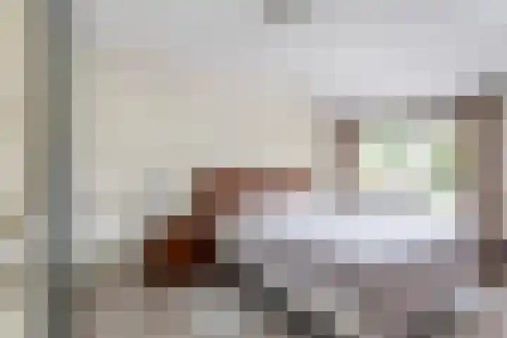 Zevengetijdeklaver 17 Rotterdam thumbnail 21
