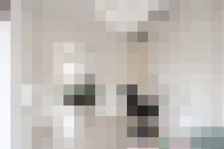 Zevengetijdeklaver 17 Rotterdam thumbnail 25