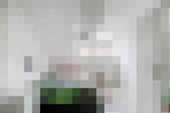 Zevengetijdeklaver 17 Rotterdam thumbnail 26