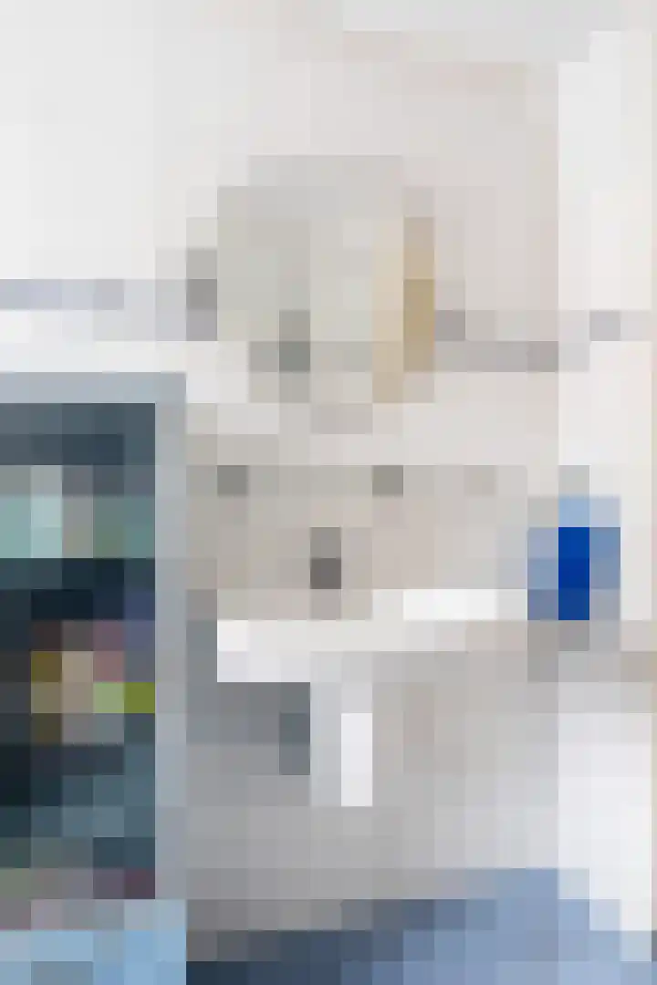 Zevengetijdeklaver 17 Rotterdam thumbnail 28
