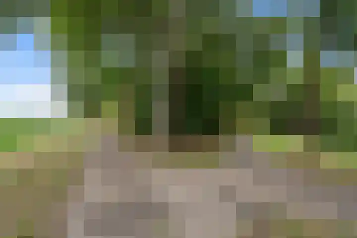Zevengetijdeklaver 17 Rotterdam thumbnail 36
