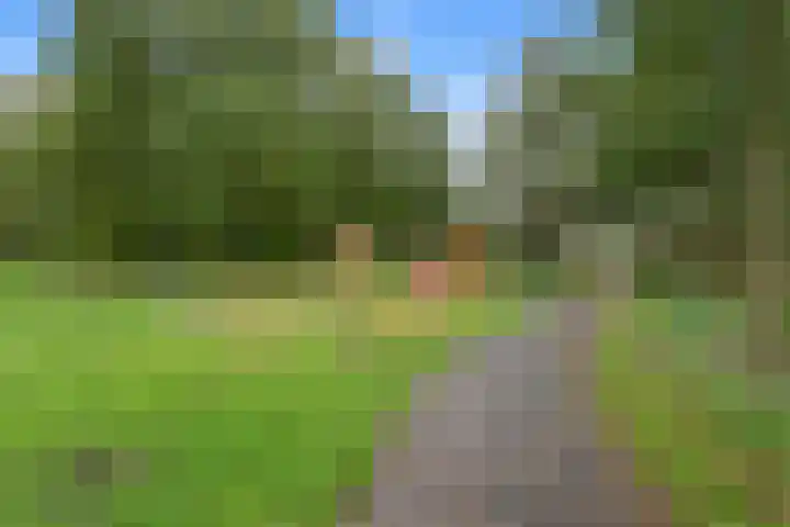 Zevengetijdeklaver 17 Rotterdam thumbnail 37