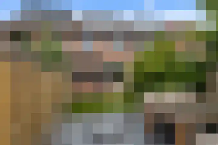 Zevengetijdeklaver 17 Rotterdam thumbnail 4