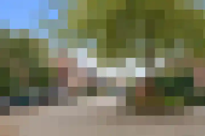 Zevengetijdeklaver 17 Rotterdam thumbnail 6