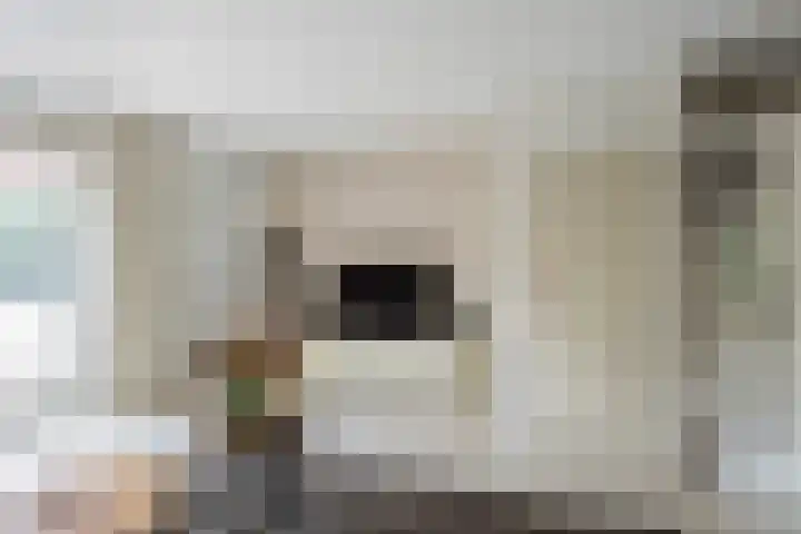 Zevengetijdeklaver 17 Rotterdam thumbnail 8