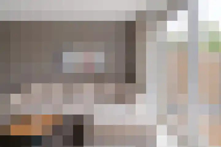 Zevengetijdeklaver 17 Rotterdam thumbnail 9
