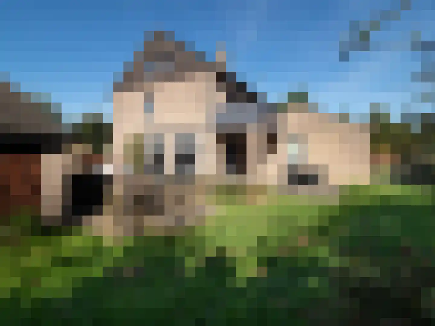 Zevenheuvelenweg 24 Groesbeek thumbnail 40