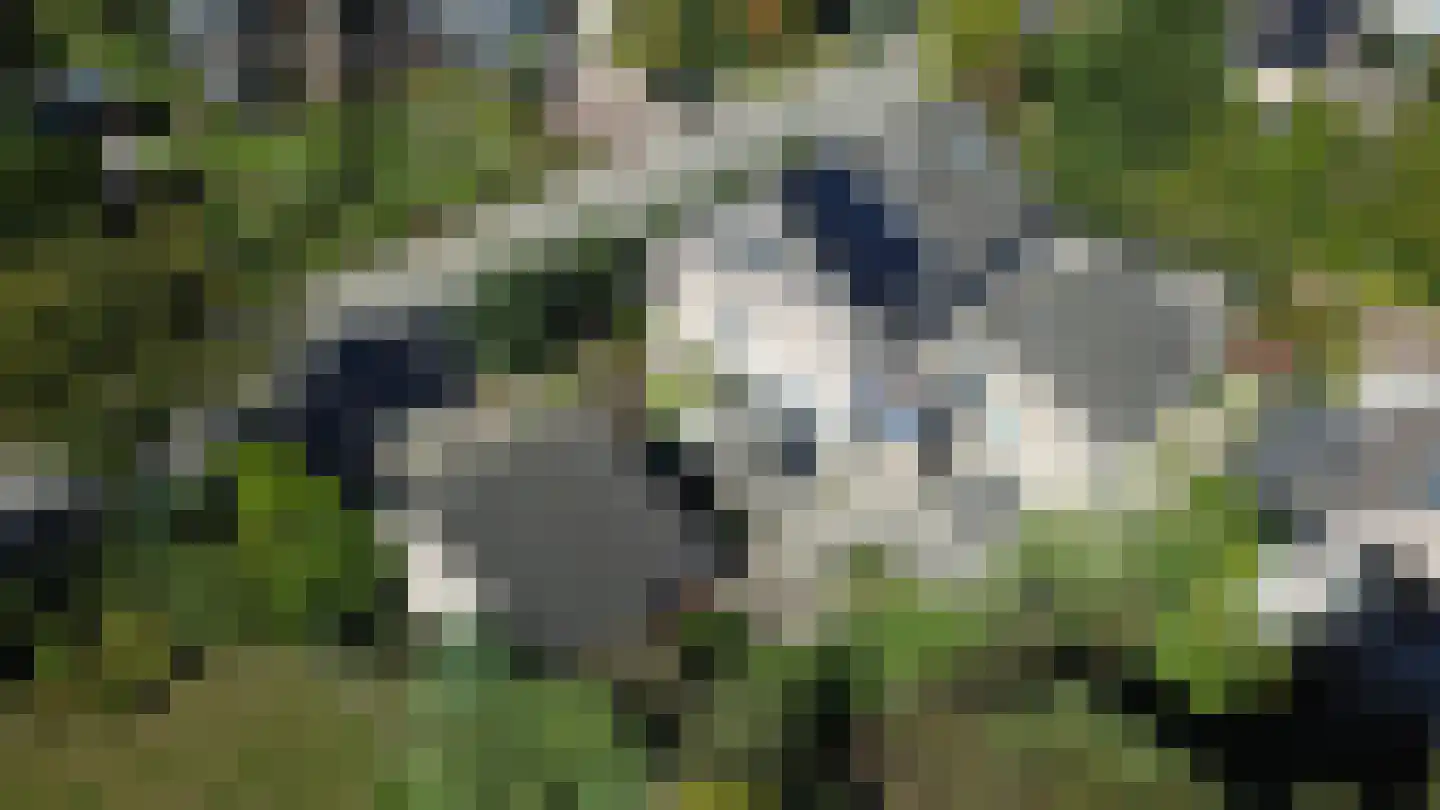 Zevenheuvelenweg 24 Groesbeek thumbnail 48