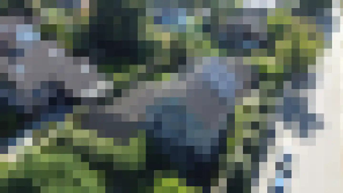 Zevenheuvelenweg 24 Groesbeek thumbnail 49