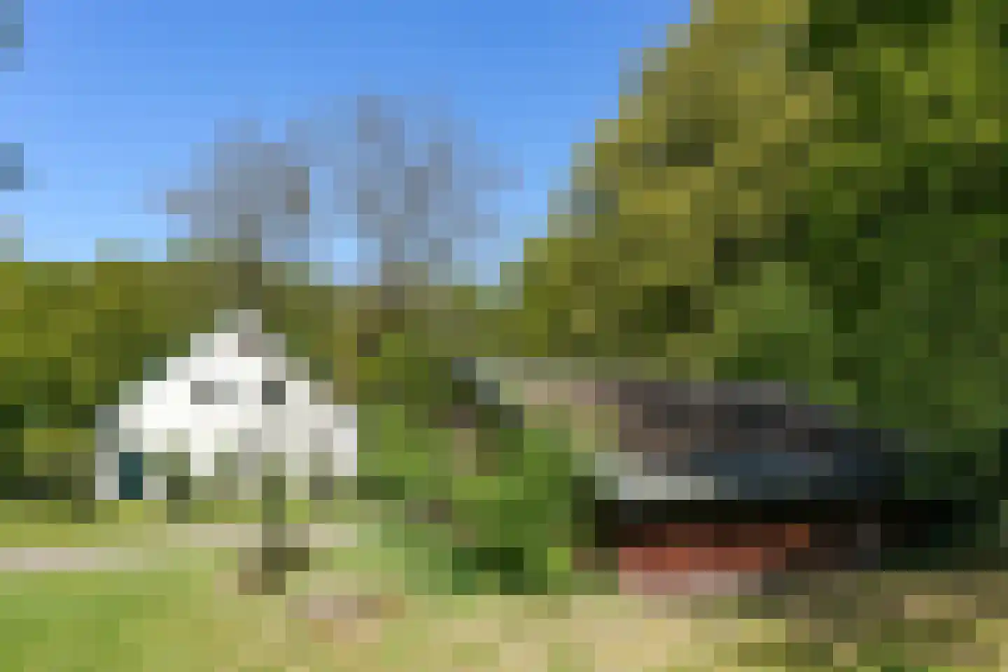 Zevenheuvelenweg 46 Berg en Dal thumbnail 10