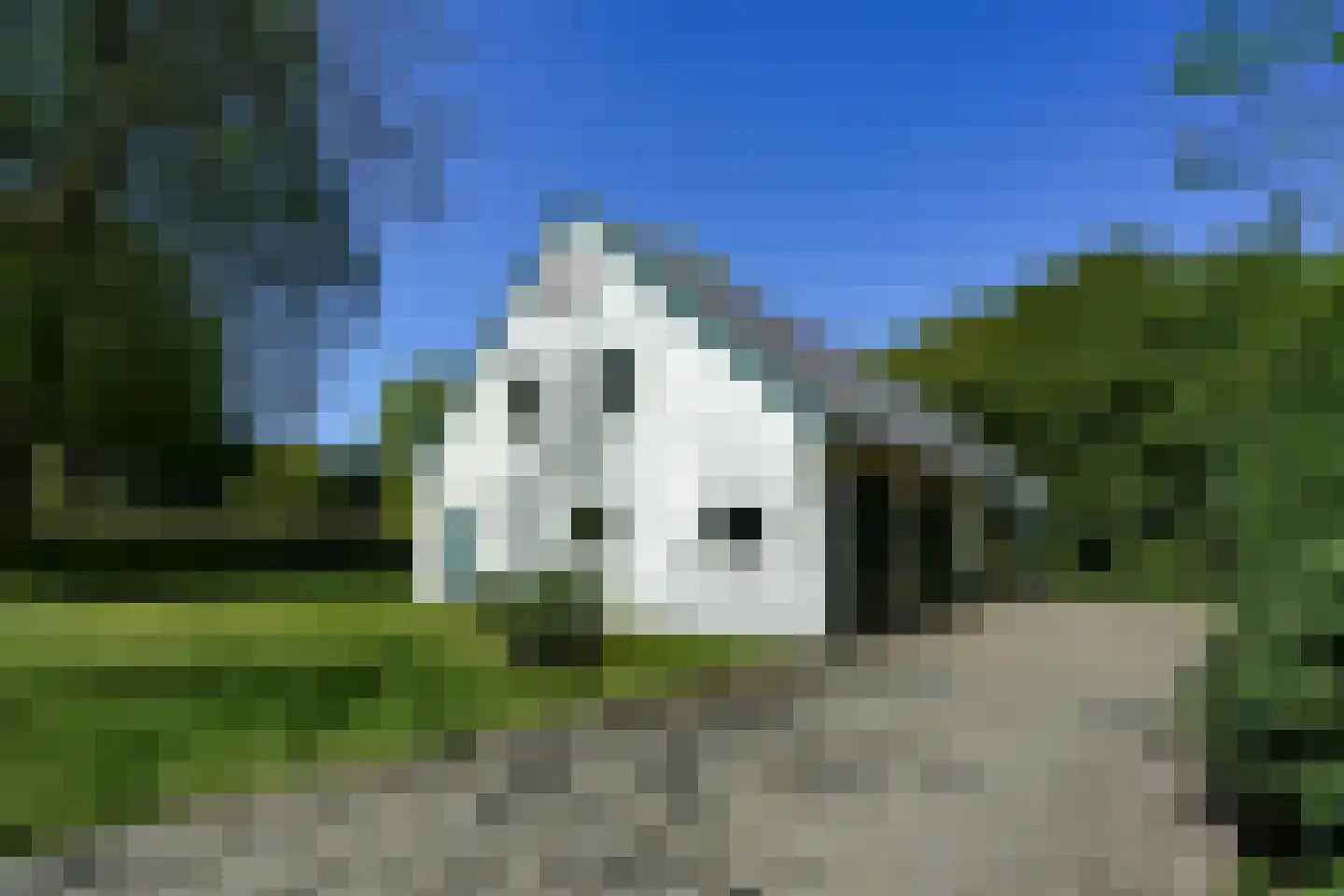 Zevenheuvelenweg 46 Berg en Dal thumbnail 12