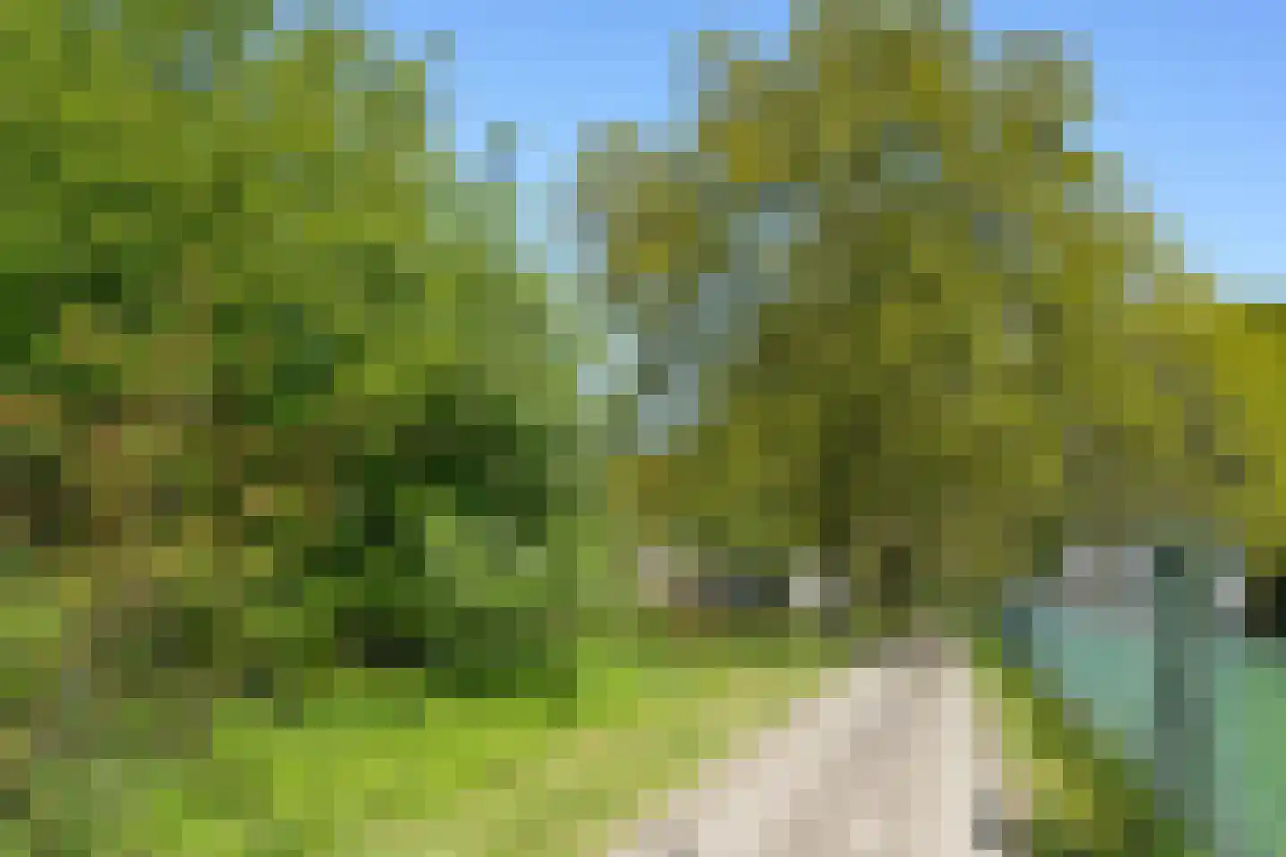 Zevenheuvelenweg 46 Berg en Dal thumbnail 4
