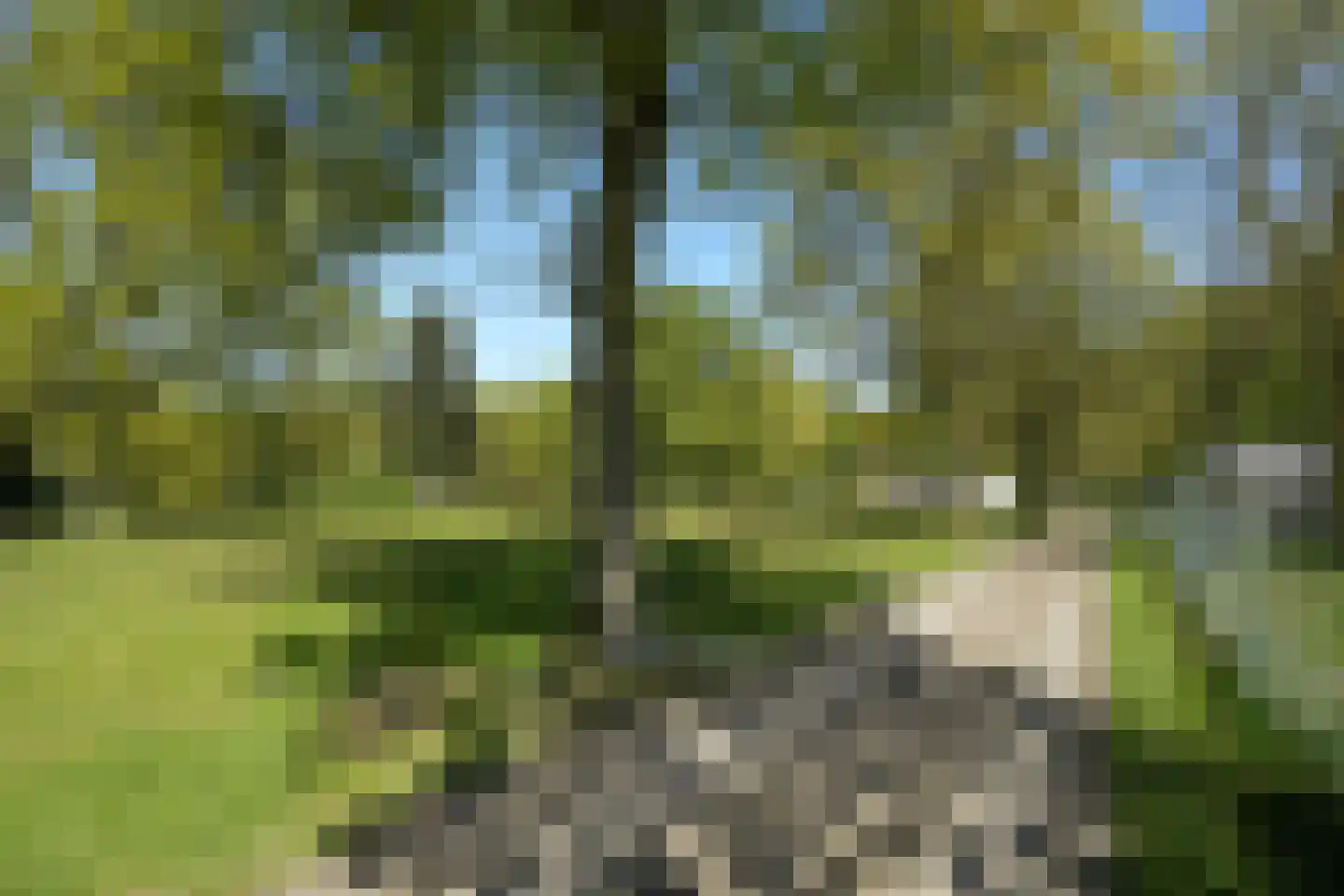 Zevenheuvelenweg 46 Berg en Dal thumbnail 5