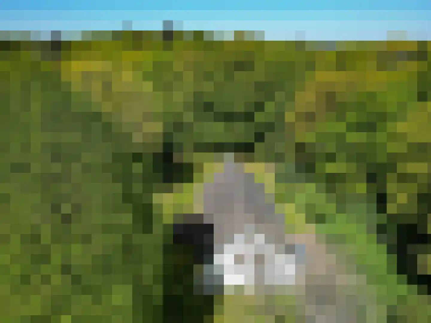 Zevenheuvelenweg 46 Berg en Dal thumbnail 6