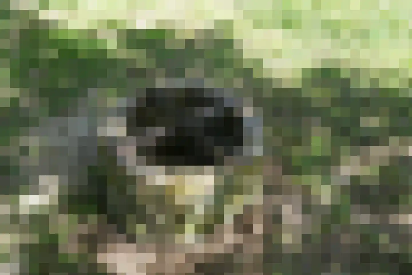 Zevenheuvelenweg 46 Berg en Dal thumbnail 86