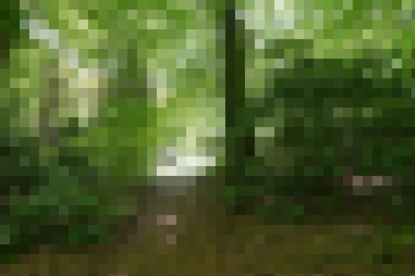 Zevenheuvelenweg 46 Berg en Dal thumbnail 87
