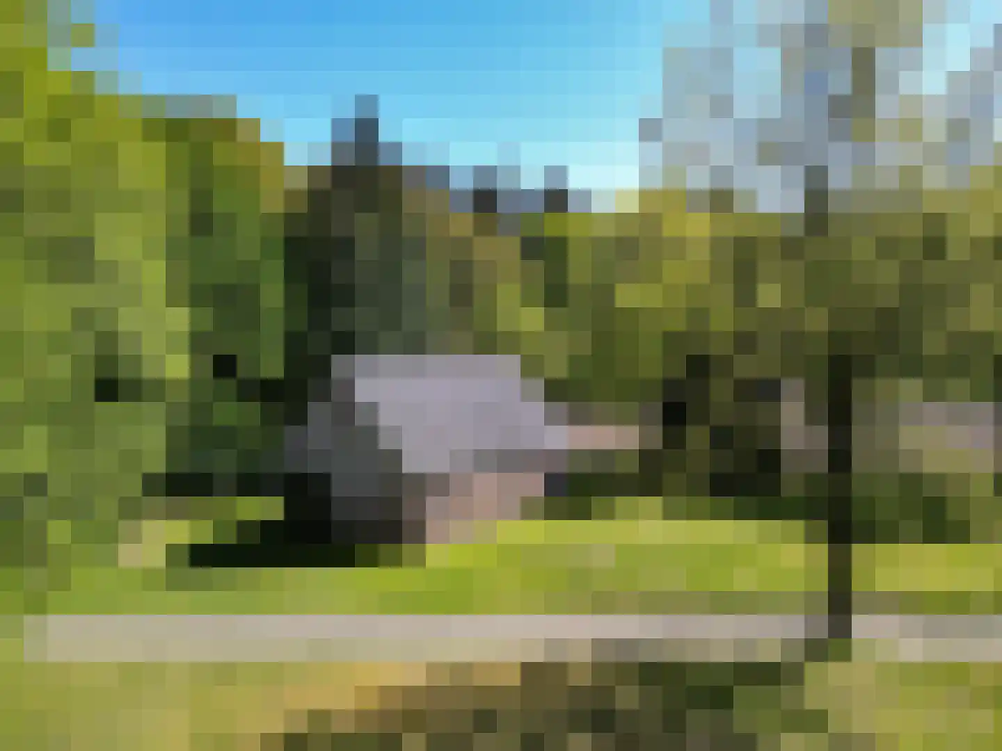 Zevenheuvelenweg 46 Berg en Dal thumbnail 9