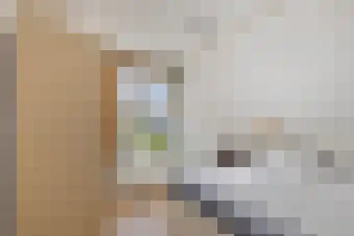 Zevenheuvelenweg 62 Berg en Dal thumbnail 30