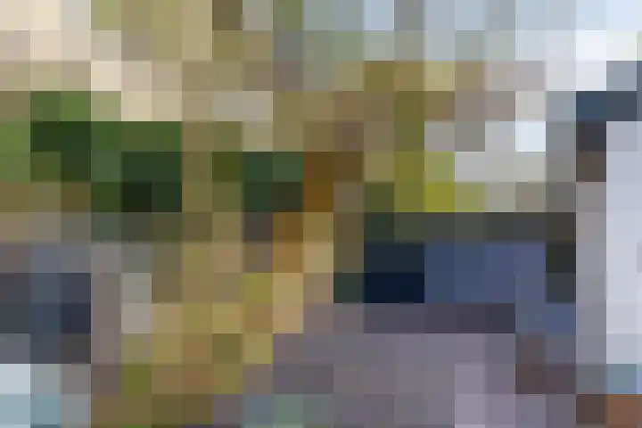 Zevenheuvelenweg 62 Berg en Dal thumbnail 33