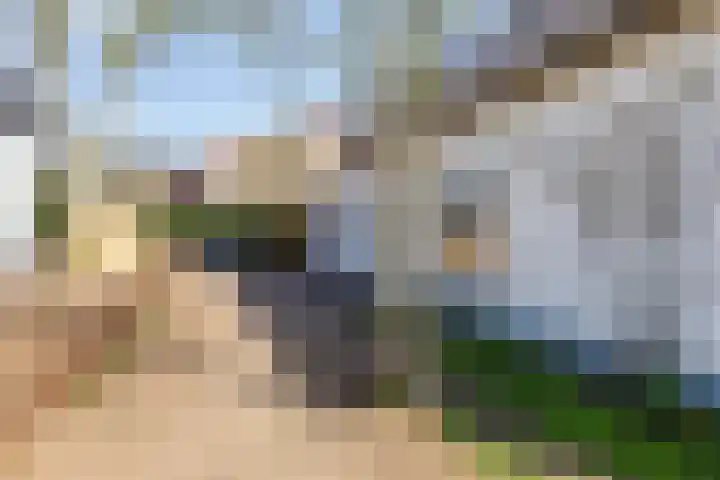 Zevenheuvelenweg 62 Berg en Dal thumbnail 37