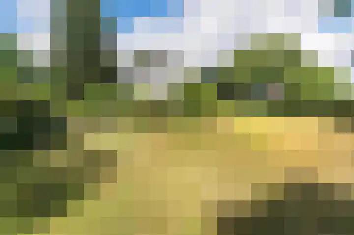 Zevenheuvelenweg 65 Berg en Dal thumbnail 40