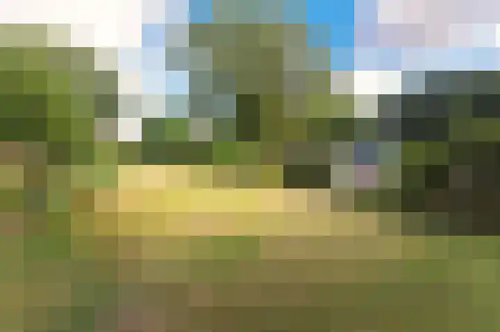 Zevenheuvelenweg 65 Berg en Dal thumbnail 41