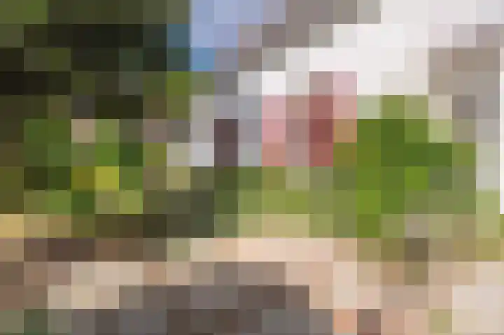 Zevenheuvelenweg 65 Berg en Dal thumbnail 44