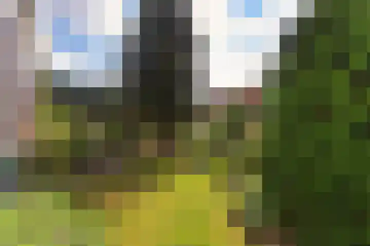 Zevenheuvelenweg 65 Berg en Dal thumbnail 45
