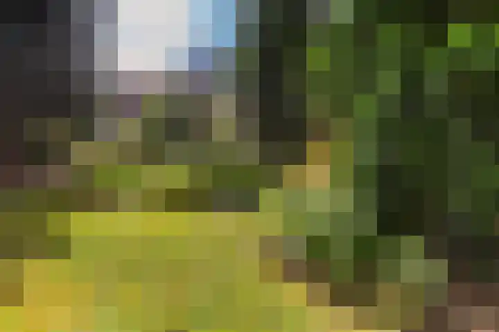 Zevenheuvelenweg 65 Berg en Dal thumbnail 46