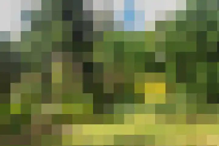 Zevenheuvelenweg 65 Berg en Dal thumbnail 47